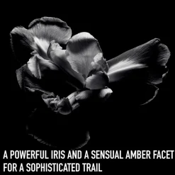 DIOR Homme Intense Eau de parfum No color Outlet