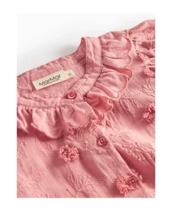 Dipa><noscript><img width=