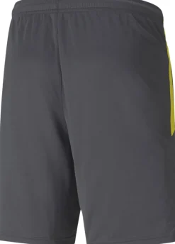 Dortmund træningsshorts>Puma Online
