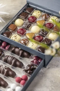 DRAWER BOX SELECTION>Xocolatl Discount