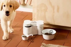 Dåse formet kødben hundemotiv og målebæger>Ib Laursen Best