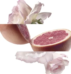 HERMÈS Eau de pamplemousse rose Eau de Cologne No color Best