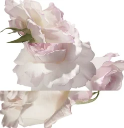 HERMÈS Eau de pamplemousse rose Eau de Cologne No color Best