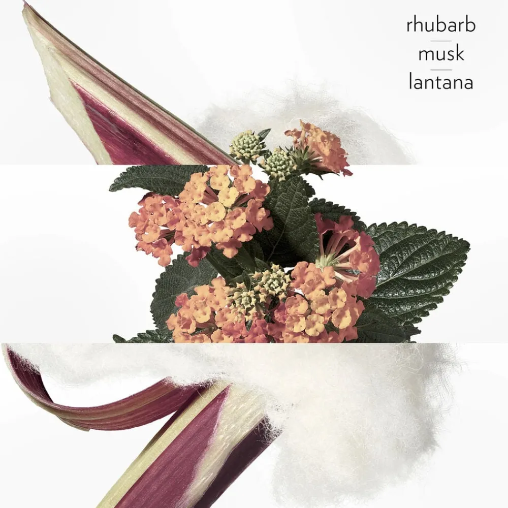 HERMÈS Eau De Rhubarbe Écarlate Eau de Cologne 200 ml