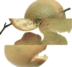 Eau d'orange verte Eau de Cologne><noscript><img width=