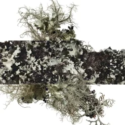 Eau d'orange verte Eau de Cologne><noscript><img width=