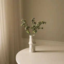 Botané Echinops Ritro Thistle Ball Clearance