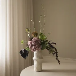 Botané Echinops Ritro Thistle Ball Clearance