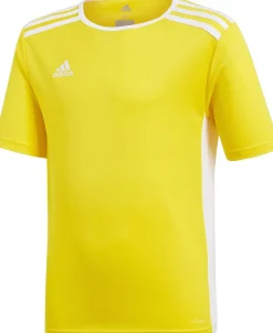 Børn adidas Entrada 18 Trænings T-shirt