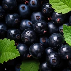 Versace Eros Homme Energy