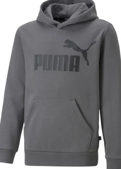 Puma Essentials Big Logo hættetrøje Grå Outlet