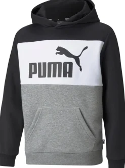 Børn Puma Essentials+ Colourblock hættetrøje