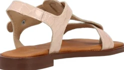 EVITA><noscript><img width=