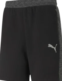 Puma Evostripe 8" shorts