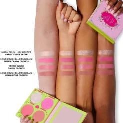 Too Faced Fairytale Crush - Blush Palette & Highlighter New