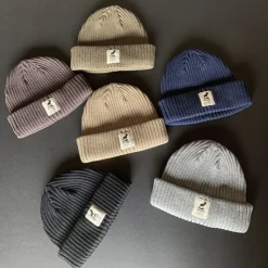 Fat Beanie><noscript><img width=