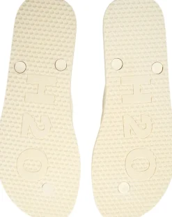 Flip Flop>H2O Online