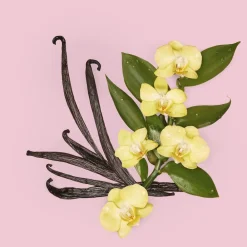 Flora Gorgeous Orchid Eau de parfum><noscript><img width=