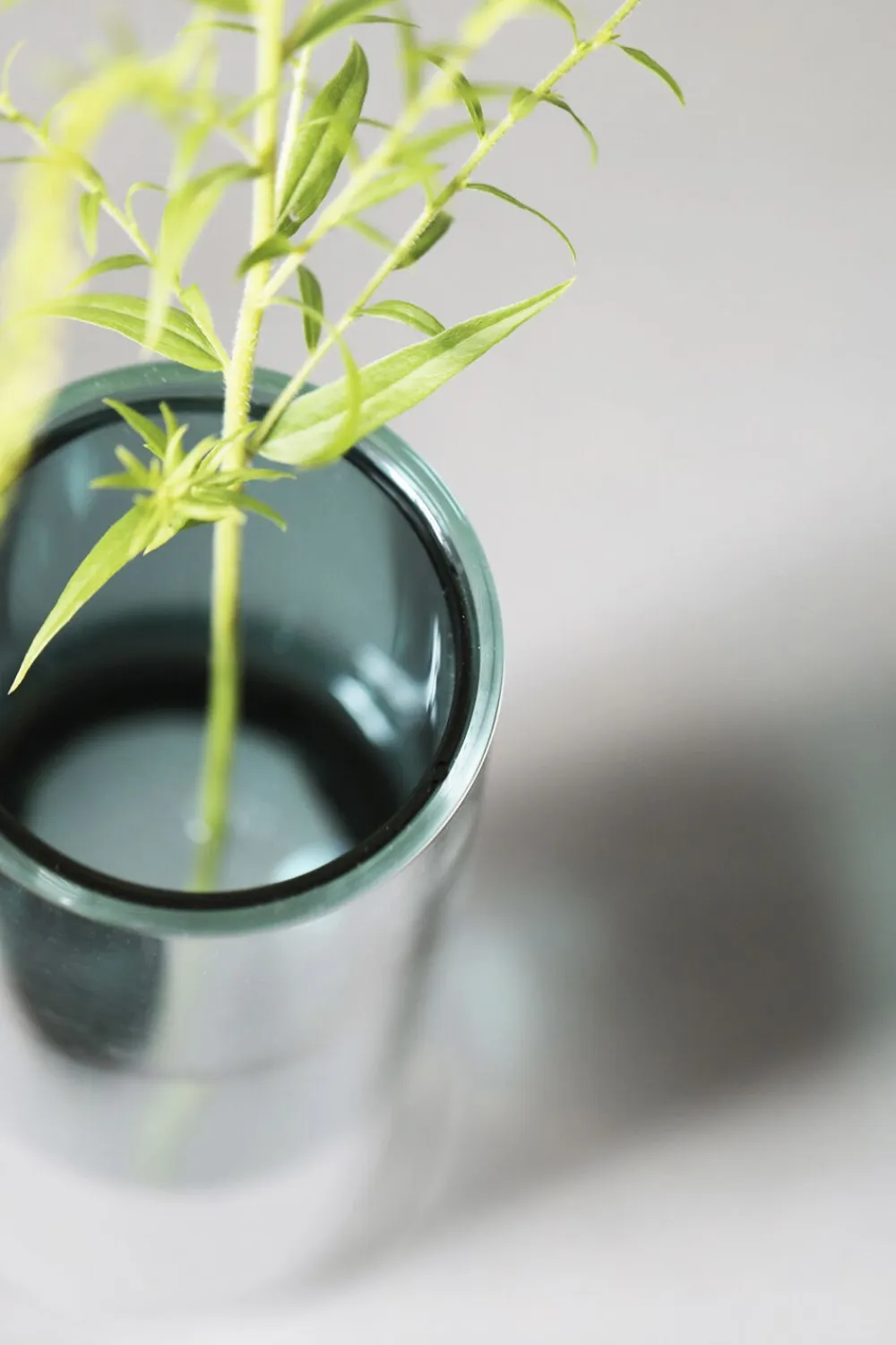 Studio About FLOWER TUBE, TALL TUBE, CYAN, 65200C