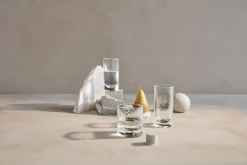 Holmegaard Forma Longdrinkglas klar 32 cl 2 stk.