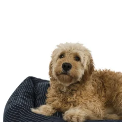 Hundeseng><noscript><img width=