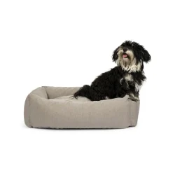 Hundeseng><noscript><img width=