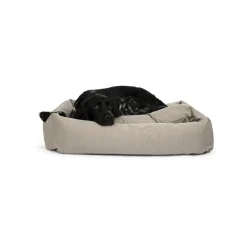 Hundeseng><noscript><img width=