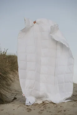 Spring Dyne>Fossflakes New