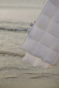 Spring Dyne><noscript><img width=