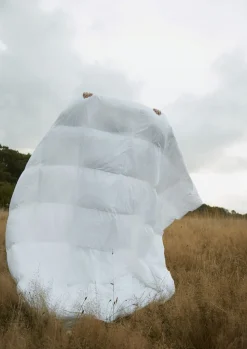 Fossflakes Winter Dyne