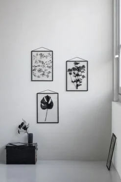 Frame ramme A5><noscript><img width=