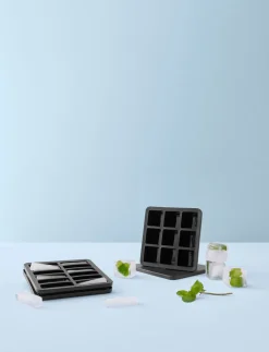 RIG TIG FREEZE-IT isterningbakke med låg H 5 cm black Online