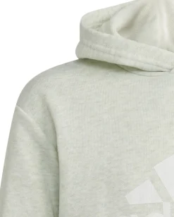 Børn adidas Future Icons Badge of Sport hættetrøje