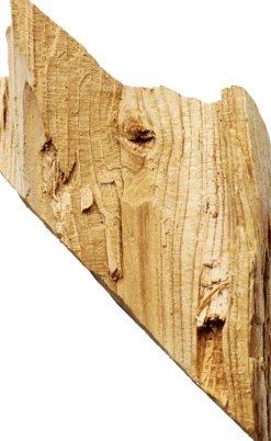 Giorgio Acqua di Gioia Eau de Parfum><noscript><img width=