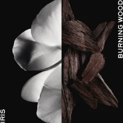 Givenchy Gentleman boisee Eau de parfum No color Best