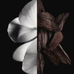 Givenchy Gentleman boisee Eau de parfum No color Best