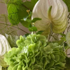 Grassy Green>Botané Outlet