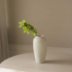 Botané Green Cymbidium Orchid Flower