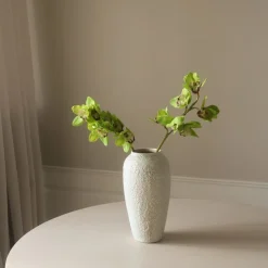 Botané Green Cymbidium Orchid Flower