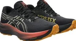 Asics GT-2000 14 Gore-Tex Løbesko Sort