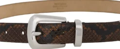 Gestuz GZfilua belt Brown snake