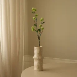 Botané Hamamelis Branch