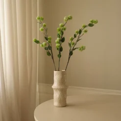 Botané Hamamelis Branch