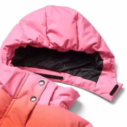 Hansine Pro><noscript><img width=