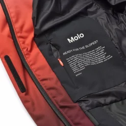 Hansine Pro><noscript><img width=