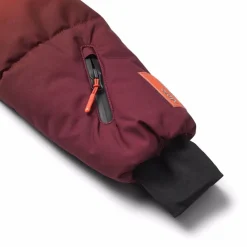 Hansine Pro><noscript><img width=