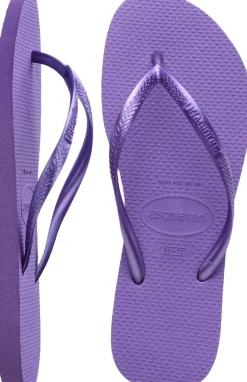 Hav. Slim><noscript><img width=