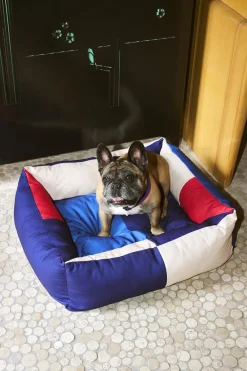 Dogs Bed-Medium-Red, blue><noscript><img width=