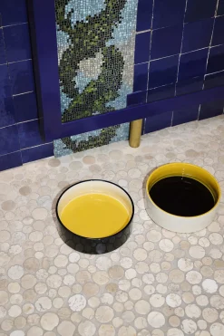 Dogs Bowl-Large-Blue, yellow>Hay Discount