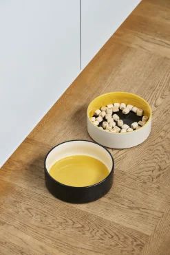 Hay Dogs Bowl-Large-Yellow, blue Hot